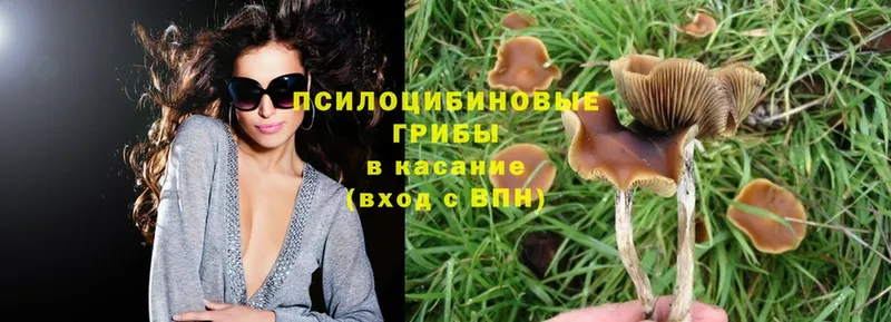 Галлюциногенные грибы MAGIC MUSHROOMS  Володарск 